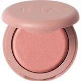 Focus Blurring Blush - Flutter