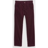 GAP Kids Corduroy Pants - Boys Cene