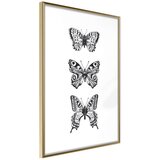  Poster - Butterfly Collection III 40x60 | shoptok.hr