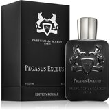 Parfums de Marly Pegasus Exclusif parfumska voda za moške 125 ml | Shoptok.si