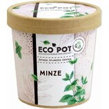 Feel Green ecopot "Meta" | Shoptok.si