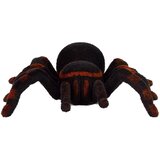  Tarantula pauk na daljinsko upravljanje - crna | Shoptok.si