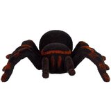  Tarantula pauk na daljinsko upravljanje - crna | shoptok.hr