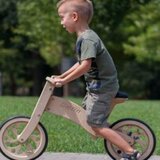 Eco-Bikes drveni bicikl bez pedala delfin