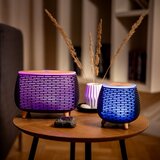 Truelife AIR Diffuser D6 ultrazvučni raspršivač mirisa i ovlaživač zraka 1 kom | shoptok.hr