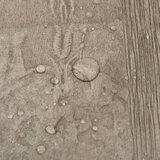  Podne daske 55 pcs Sivi 5 11 m² PVC - tamno smeđe i sive boje | shoptok.hr