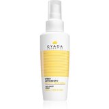 GYADA Cosmetics anti-frizz-sprej Cene