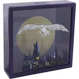 Kasica Harry Potter - Hedwig Frame teget