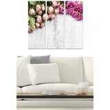 Wallity Set slika MDF265591553, 3 dijela | Eponuda.ba