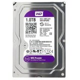 Western Digital HDD WD SATA 1TB Purple - PURX cene