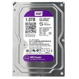 Western Digital hdd wd sata 1TB purple - purx cene