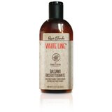  Renee Blanche White Line Restructuring Conditioner 200ml - Regenerator za oštećenu kosu | ePonuda.com