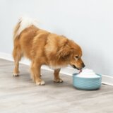 Trixie Automatska pojilica za pse Vital Falls | ePonuda.com