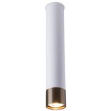  Amplex 8251 - Spot svetiljka EIDO 1xGU10/10W/230V bela/zlatna | Eponuda.com