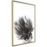 Poster - Funny Chihuahua 40x60 Cijene