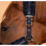 Olimp Sport Ular za konja tamnoplava | ePonuda.com