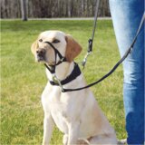 Trixie Korpa za pse trening Control - L–XL Cene