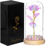 springos 22 cm inkapsulirane LED luči iz večnega rožnatega stekla, (21630250) | Shoptok.si