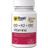 Raab Vitalfood GmbH Vitamin D3 + K2 + B12 460 mg | Shoptok.si