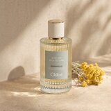 Chloé Atelier Des Fleurs Immortelle toaletna voda unisex 150 ml | shoptok.hr
