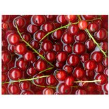  Tapeta - Redcurrants bathed in water 200x154 | shoptok.hr