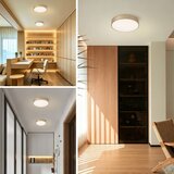 Brilagi LED plafonsko svetlo POOL LED/36W/230V 3000/4000/6000K prečnika 30 cm zlatno | Eponuda.com