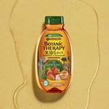 Garnier Botanic Therapy Disney Kids šampon in balzam 2 v1 za lažje česanje las za otroke 400 ml | Shoptok.si