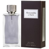 Abercrombie & Fitch First Instinct Eau De Toilette 100 ml za muškarce | shoptok.hr