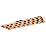  Crna/u prirodnoj boji LED stropna svjetiljka s mogućnosti zatamnjivanja 6x114 cm Fontana – | shoptok.hr