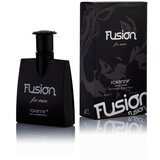 Roxanne muški parfem Fusion edp 80ml X-ROX-FUS-101-M01 Cene