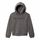 Columbia Puloverji TREK HOODIE Siva | Shoptok.si