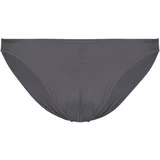 PLUMES MICRO BRIEF Siva