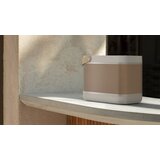 Bang & Olufsen Beolit 20 Grey Mist – OTG | Eponuda.ba