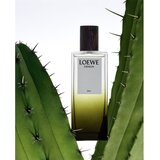 Loewe Esencia Elixir parfum za moške 50 ml | Shoptok.si