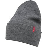 Levi's Kape 'Slouchy' temno siva | Shoptok.si