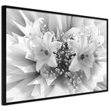  Poster - Crystal Lillies 60x40 | shoptok.hr