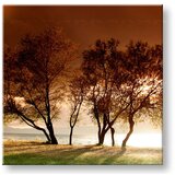  Slike na platnu drveće (moderne slike na platnu) | ePonuda.com