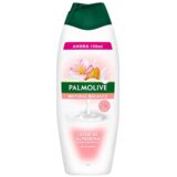 Palmolive gel za tuširanje, badem i mleko, 600ml Cene
