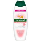 Palmolive gel za tuširanje, badem i mleko, 600ml cene