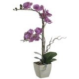  CVIJEĆE 14*14*80CM PURPLE Cijene