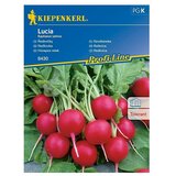 KIEPENKERL Zelenjavna semena redkvica Lucia (Raphanus sativus, Čas žetve: April, 10 m²) u