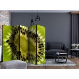  Paravan u 5 dijelova - fruits: kiwi II [Room Dividers] 225x172 | shoptok.hr
