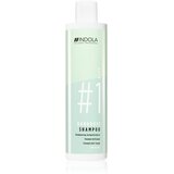 INDOLA PROFESSIONAL šampon za kosu dandruff | Eponuda.com