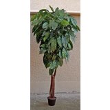 Lilium veštački mango u saksiji 165 cm 875679 Cene