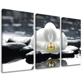  Slike na platnu feng shui | ePonuda.com