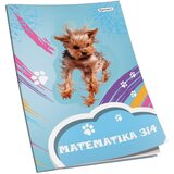  OBRAZAC ŠKOLSKI MATEMATIKA ZA 3 I 4RAZRED PREMIUM CONNECT GIRL | Eponuda.com