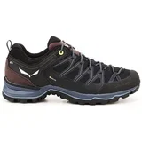 Pohodništvo MS Mtn Trainer Lite Gtx pisana