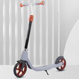  Trotinet za decu i mlade – SnakeBoard stil 665 - siva | ePonuda.com