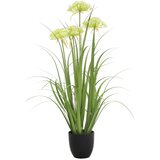 Ambia Home OKRASNA TRAVA Cene