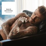 David Beckham True Instinct osvežilni dezodorant v pršilu za moške 150 ml | Shoptok.si